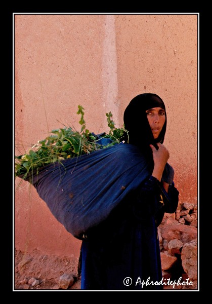 71 Maroc portraits